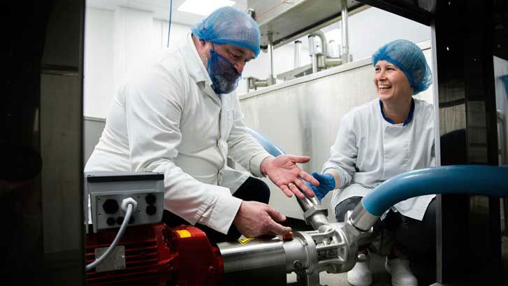 assess pump efficiency for food and beverage applications