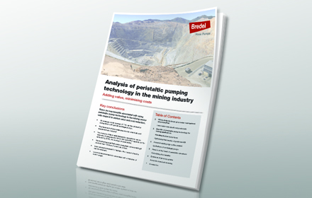 ПотреблениеводывГорномДеле：Информационныйбуклет