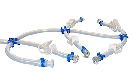 这是我唯一的愿望