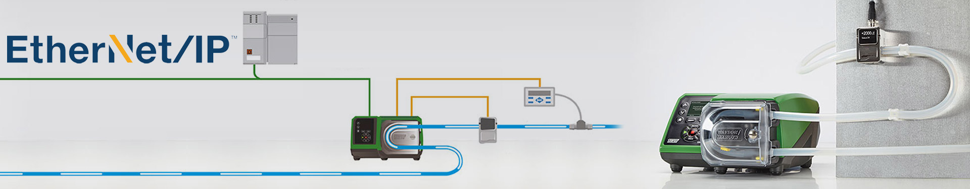 Controllo di Rete Digitale Perfetto